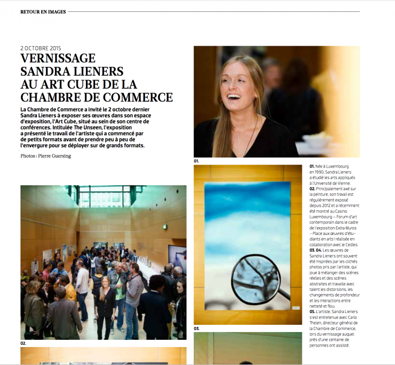 vernissage sandra lieners au art cube | merkur magazine | nov/déc '15 | LUX